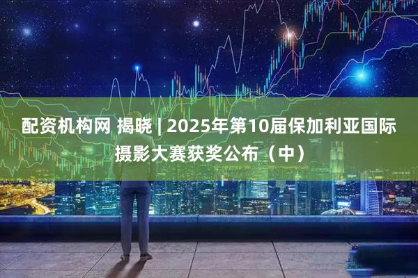 配资机构网 揭晓 | 2025年第10届保加利亚国际摄影大赛获奖公布（中）