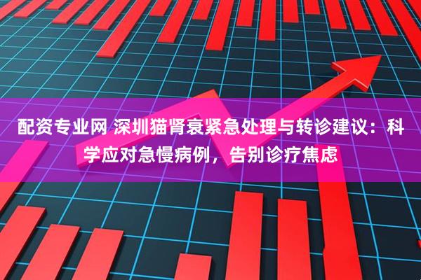 配资专业网 深圳猫肾衰紧急处理与转诊建议：科学应对急慢病例，告别诊疗焦虑